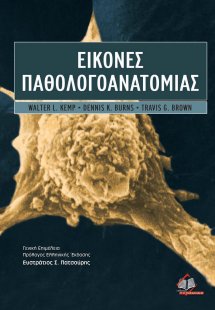 Εικόνες παθολογοανατομίας