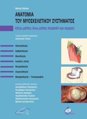 Ανατομία του Μυοσκελετικού Συστήματος