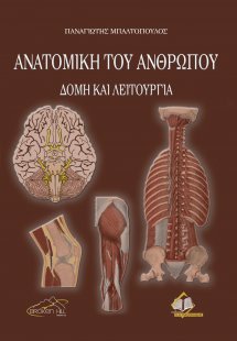 Ανατομική του Ανθρώπου Δομή και Λειτουργία