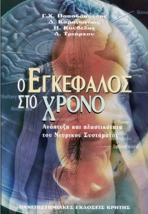 Ο εγκέφαλος στο χρόνο