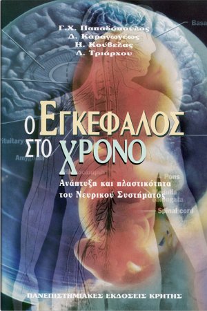 Ο εγκέφαλος στο χρόνο