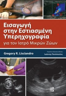 Εισαγωγή στην εστιασμένη υπερηχογραφία