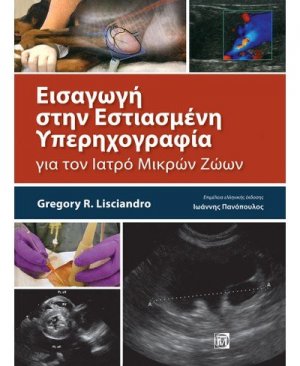 Εισαγωγή στην εστιασμένη υπερηχογραφία