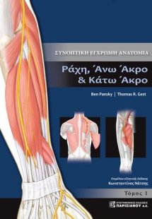 Συνοπτική έγχρωμη ανατομία