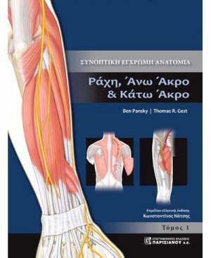 Συνοπτική έγχρωμη ανατομία
