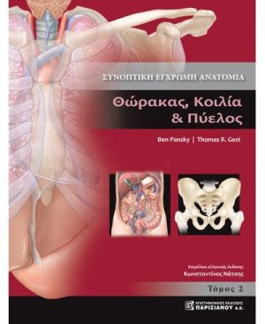 Θώρακας, κοιλιά και πύελος