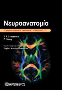 Νευροανατομία