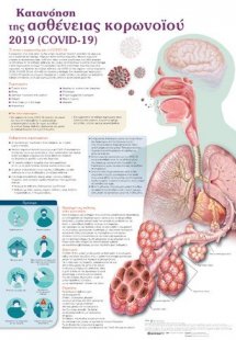 Ανατομικός χάρτης:  Κατανόηση της ασθένειας του κορωνοϊ...