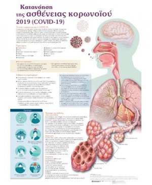 Ανατομικός χάρτης:  Κατανόηση της ασθένειας του κορωνοϊού 2019