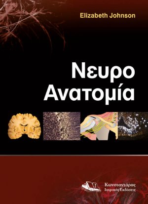 ΝευροΑνατομία