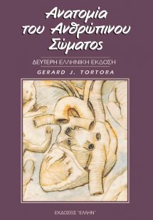Ανατομία του Ανθρώπινου Σώματος (Επίτομο)