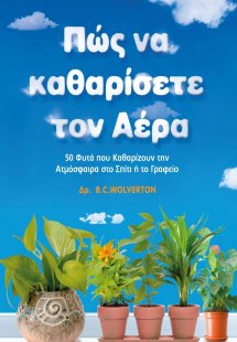 Πώς να καθαρίσετε τον αέρα