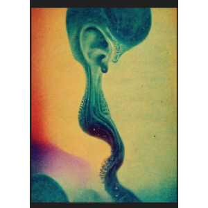 Rorschach Audio Τέχνη Και Ψυχοακουστική Ψευδαίσθηση