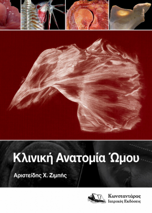 Κλινική Ανατομία Ώμου