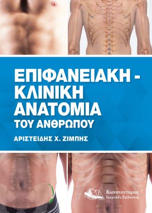 Eπιφανειακή – Kλινική Aνατομία του Aνθρώπου