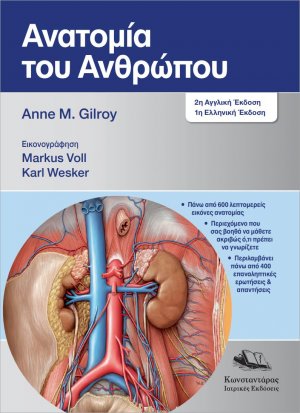 Ανατομία του Ανθρώπου