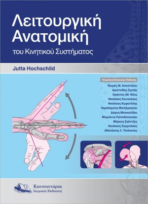 Λειτουργική Ανατομική του Κινητικού Συστήματος