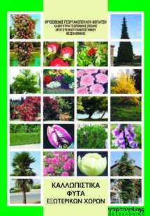 Καλλωπιστικά Φυτά Εξωτερικών Χώρων