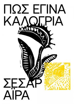 Πώς ‘Εγινα Καλόγρια