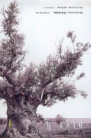 Η ελιά