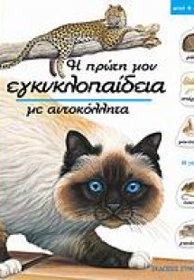 Η γάτα