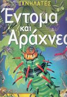 Έντομα και αράχνες