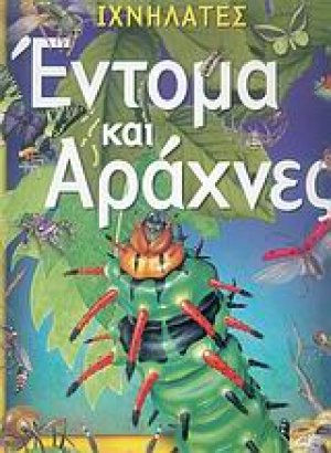 Έντομα και αράχνες