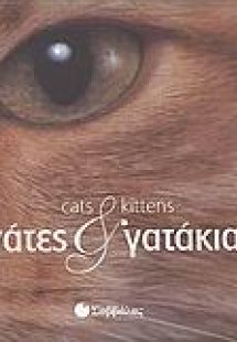 Γάτες και γατάκια