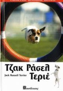 Τζακ Ράσελ Τεριέ