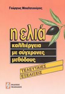 Η ελιά