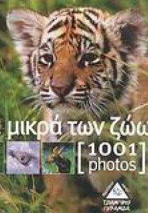 Τα μικρά των ζώων [1001 photos]