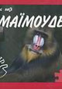 Μαϊμούδες