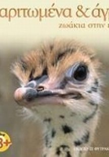 Χαριτωμένα και άγρια ζωάκια στην έρημο