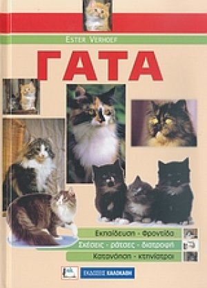 Γάτα