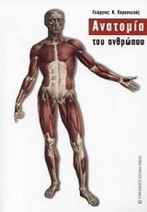 Ανατομία του ανθρώπου