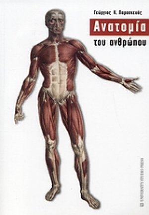Ανατομία του ανθρώπου