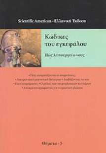 Κώδικες του εγκεφάλου