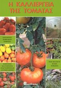 Η καλλιέργεια της τομάτας