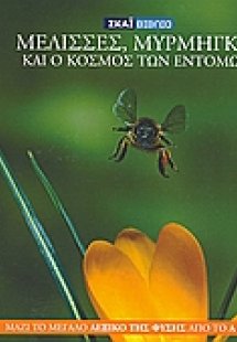 Η Εγκυκλοπαίδεια των Ζώων 16: Μέλισσα, μυρμήγκια και ο ...