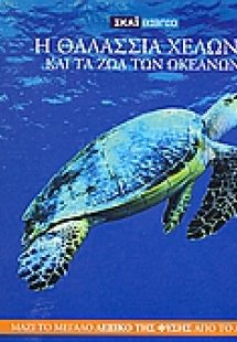 Η Εγκυκλοπαίδεια των Ζώων 12: Η θαλάσσια χελώνα και τα ...