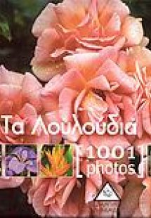 Τα λουλούδια [1001 Photos]