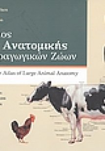 Έγχρωμος άτλας ανατομικής των παραγωγικών ζώων