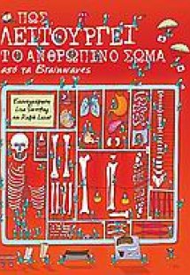 Πως λειτουργεί το ανθρώπινο σώμα από τα Brainwaves