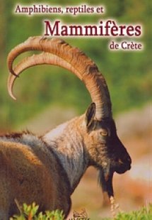 Amphibiens, reptiles et mammiferes de Crete