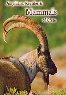 Amphians, Reptiles and Mammals of Crete