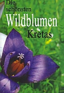 Die schonsten wildblumen Kretas