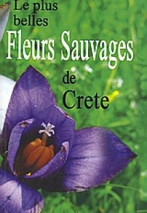 Le plus belles fleurs sauvages de Crete