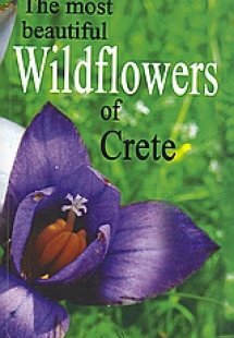 The Most Beautiful Wildflowers of Crete