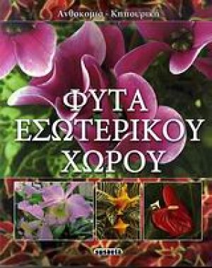 Φυτά εσωτερικού χώρου