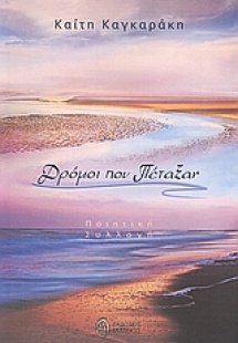 Δρόμοι που πέταξαν